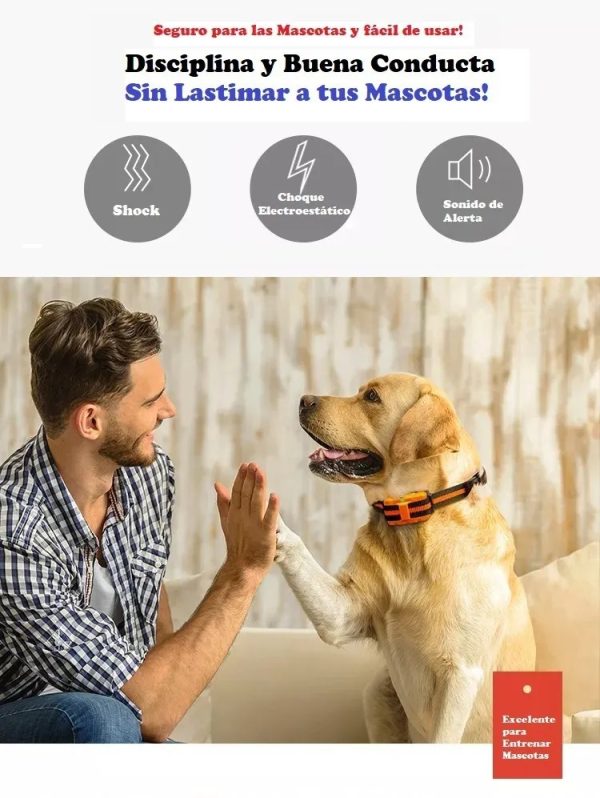 Collar Perro Adiestra Entrena Remoto Eléctrico Sumergible