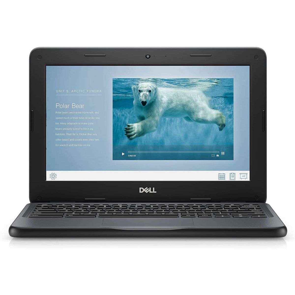 Notebook Chromebook Dell Dualcore 2.6Ghz 4GB 16GB SSD 11.6'' Notebook Chromebook Dell Dualcore 2.6Ghz 4GB 16GB SSD 11.6''